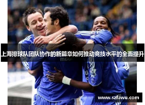 上海排球队团队协作的新篇章如何推动竞技水平的全面提升