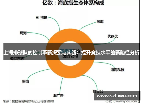 上海排球队的控制革新探索与实践：提升竞技水平的新路径分析