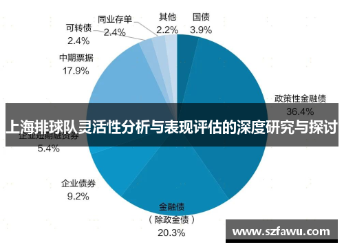上海排球队灵活性分析与表现评估的深度研究与探讨