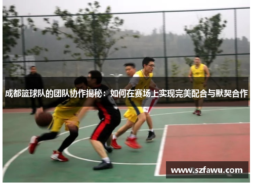 成都篮球队的团队协作揭秘：如何在赛场上实现完美配合与默契合作