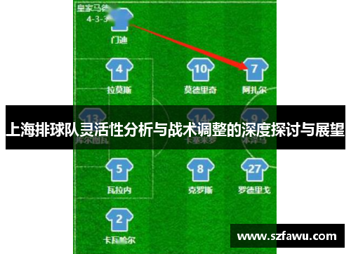 上海排球队灵活性分析与战术调整的深度探讨与展望