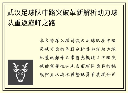 武汉足球队中路突破革新解析助力球队重返巅峰之路