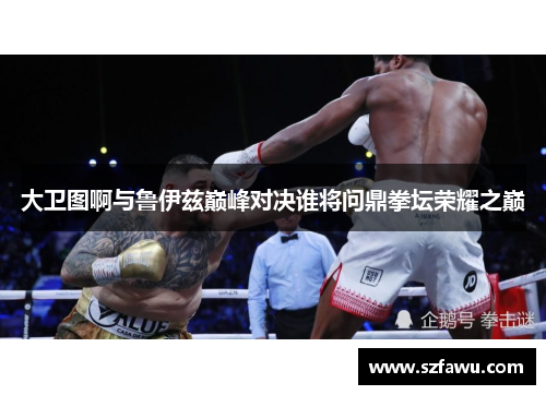 大卫图啊与鲁伊兹巅峰对决谁将问鼎拳坛荣耀之巅