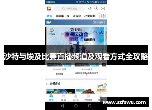 沙特与埃及比赛直播频道及观看方式全攻略